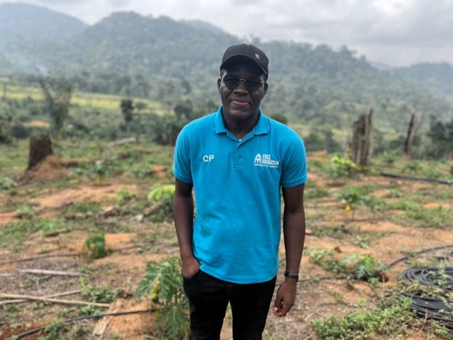 Plantation de papayers Calina irriguée en goutte à goutte à Mfou Cameroun